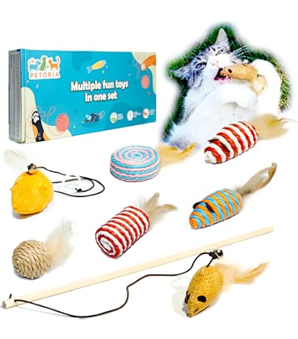 How Much is a Hexbug Cat Toy: Ultimate Price Guide 2025