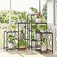 Bamworld Outdoor Plant Stand Indoor Black Corner Shelf 5-Tier 11 Potted Flower Shelves Wooden Garden Wood Plant Holder Rack for Living Room Lawn Window