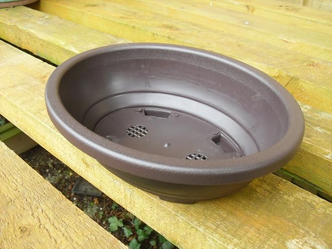 Plastic Oval Bonsai Pot 24cm Amazon.co.uk Garden & Outdoors