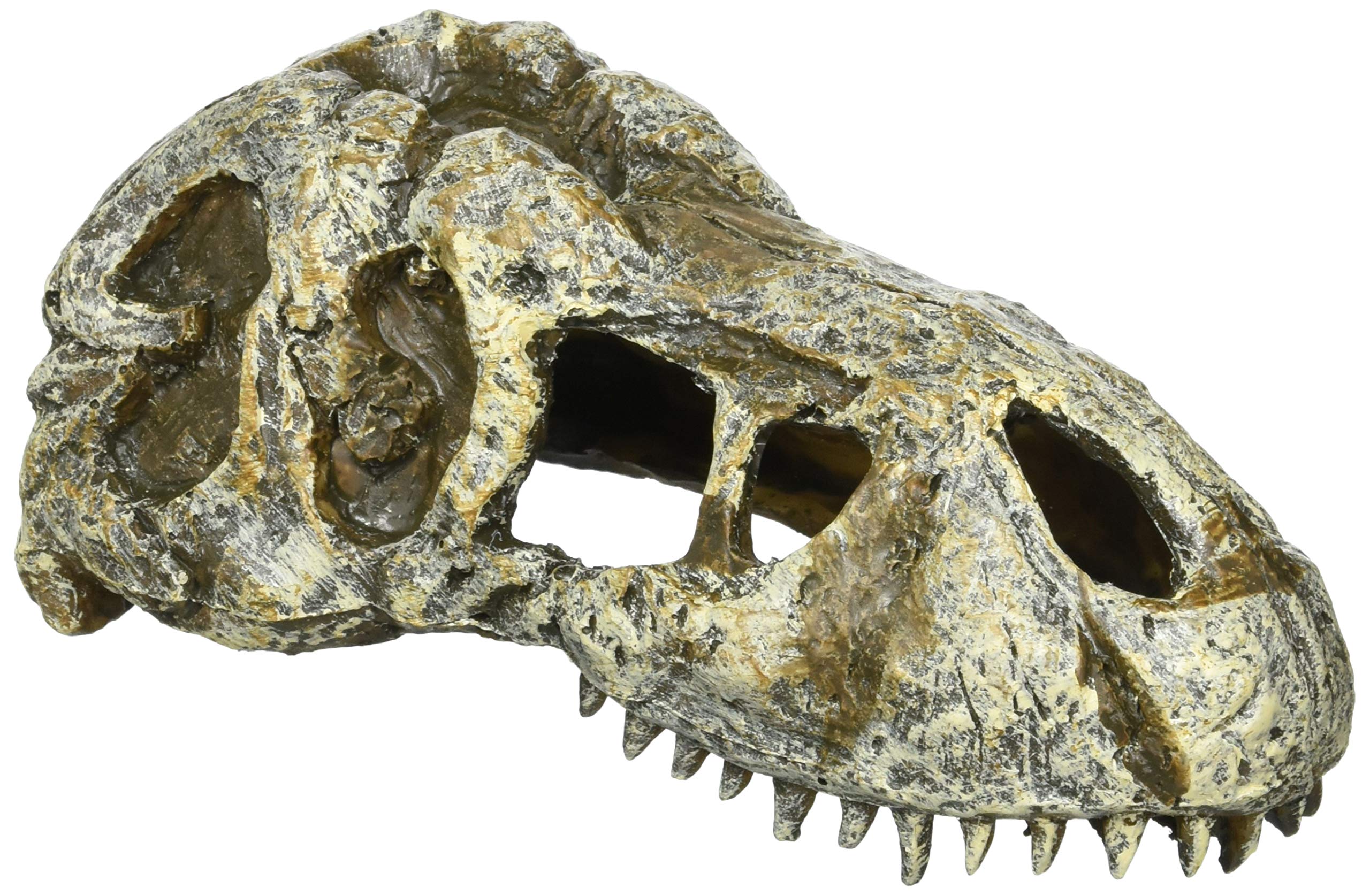 エキゾテラ GEX EXOTERRA T-REXスカルS PT2860 爬虫類用シェルター オーナメント 隠れ家 バスキングスポット W15×D7×H6cm商品画像