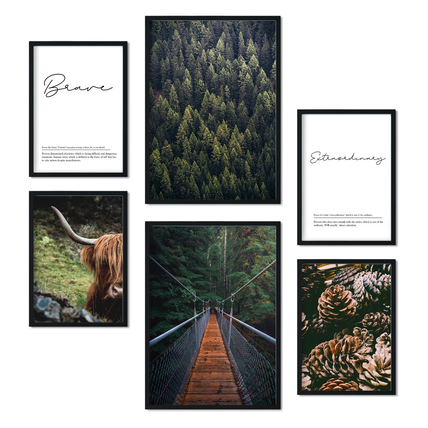 Nacnic - Set of 6 USA Winter Pictures - Photography-style Wall Art Print for Interior Decoration - Forest photography Prints - A3 & A4 - Unframed