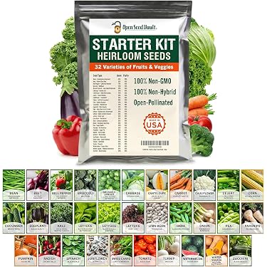 philodendron potting mix Philodendron Friday Potting Mix  PlantyTown
