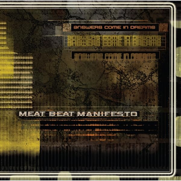 中古 Meat Beat Manifesto - AUTOIMMUNE 815FgiXqnRL._UF350,350_QL50_.jpg