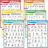 gisgfim 6PCS Dumbbell Bodyweight Stretching Workout Posters for Home Gym Wall Decor