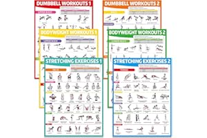 gisgfim 6PCS Workout Posters for Home Gym Dumbbell Bodyweight Stretching Workout Exercise Chart