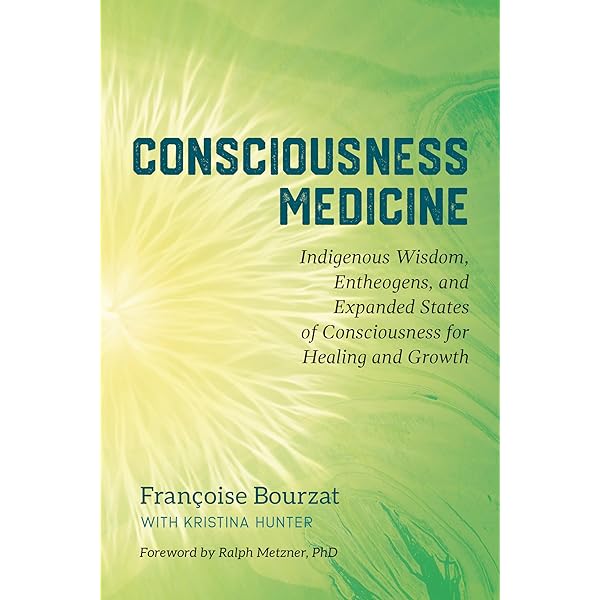 洋書 CONSCIOUSNESS BIOENERGY AND HEALING Consciousness and Healing: Integral Approaches to Mind-Body