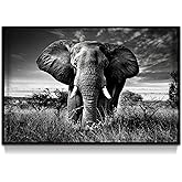 Framed Elephant Picture Wall Decor: Black White African Animals Painting Tropical Wildlife Prints Nature Artwork For Bedroom Living Room 45x30