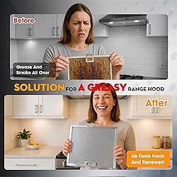 Upgraded 2 Pack BPS1FA30 Grease Filters