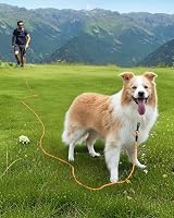 Joytale Training Leads for Dogs Padded Handle 5m 10m 15m 20m Orange 10M view 4