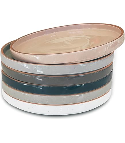 Amazon.com | Michael Wainwright Raku Stoneware Salad Plate, 9.25