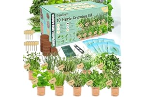 EQUSYM 10 Herb Window Garden Kit Indoor - Herb Seeds for Indoor & Outdoor Gardening, Seeds for Planting, Gardening Gift for Kid Mom Women Gardeners, Complete Herb Growing Kit with Pots, Soil, Basil, Mint