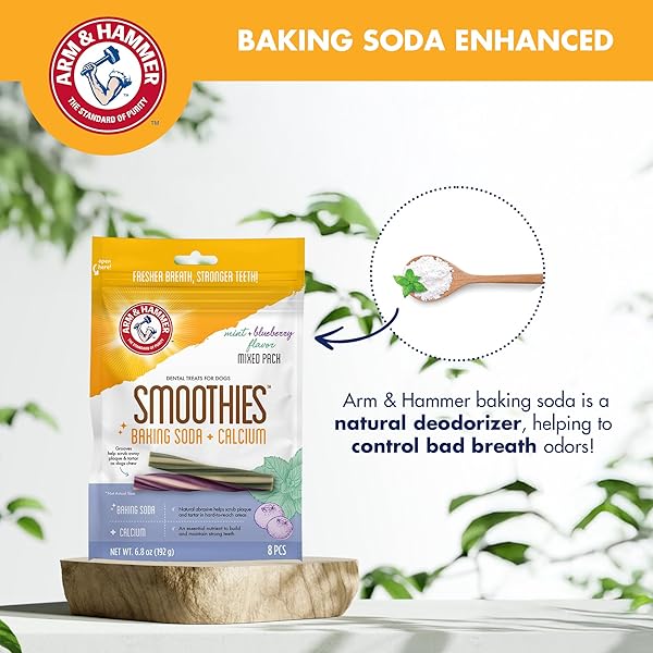 ARM & HAMMER FOR PETS SMOOTHIES DENTAL TREATS FOR DOGS WITH BAKING SODA AND CALCIUM, TREAT CHEWS HELP FIGHT BAD BREATH, PLAQUE & TARTAR, MINT BLUEBERRY & MINT, 8 PCS