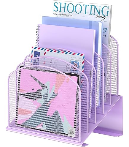 Office Mail Holder LELE LIFE Acrylic Mail Organizer - 5 Compartment Clear Desk Letter Sorter Clear Letter Holder