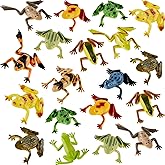 12 Pieces Plastic Frogs Toy Mini Vinyl Realistic Frog Decorations Fun Rain Forest Character Figures Lifelike Toy for Rana Crafting Party Supplies Home Decor Game