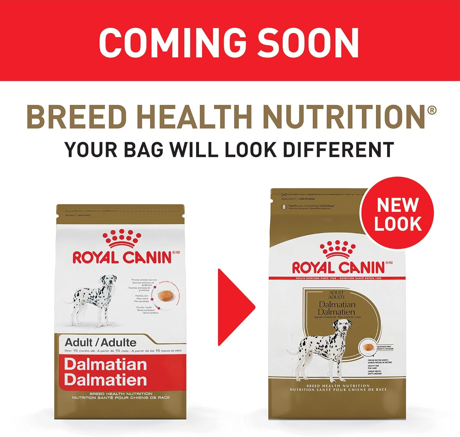royal canin dalmatian
