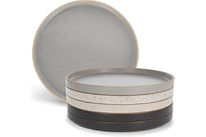 Potted Pans Ceramic Plates - 6 Piece Neutral Flat Porcelain Dish Set - 10.5in Modern Dishes with Lipped Edge for Everyday Kit