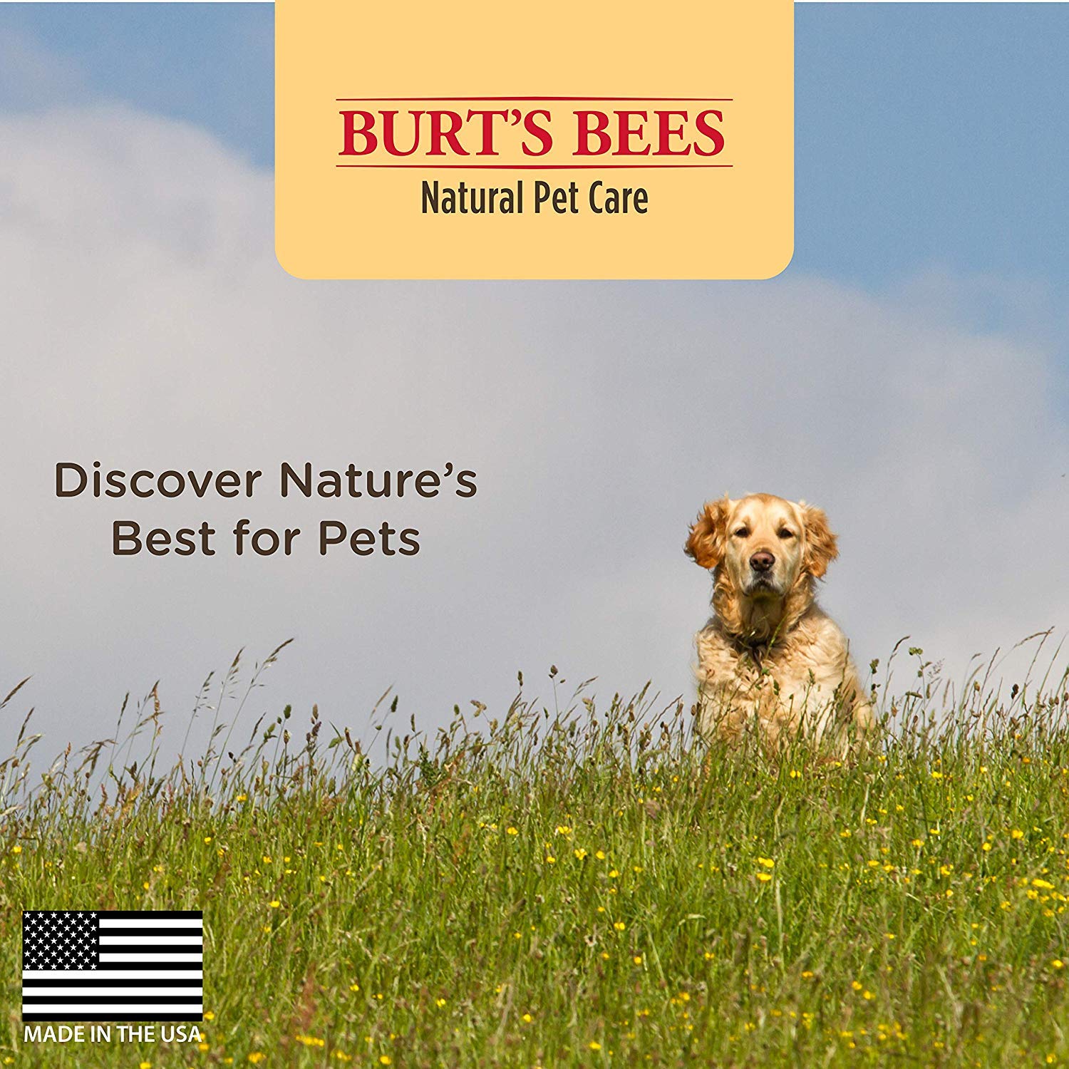 Burts Bees For Dogs Natural Skin Soothing Shampoo With Honey - Main Image