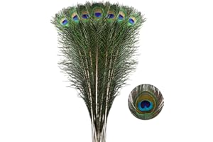 Larryhot Long Peacock Feathers Bulk - 40pcs 28-32 inches for Floral Arrangements, Wedding, Home and Party Decorations