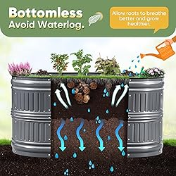KING BIRD Raised Garden Bed Kit 2025 Upgraded