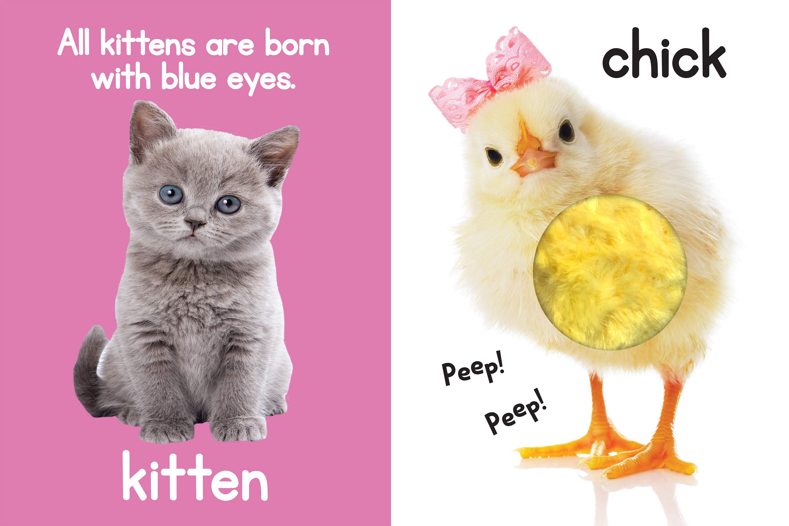 Adorable Animals - Touch and Feel Board Book - Sensory Board Book