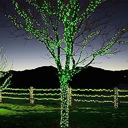 300 LED St Patricks Day Lights, 98.5FT Christmas