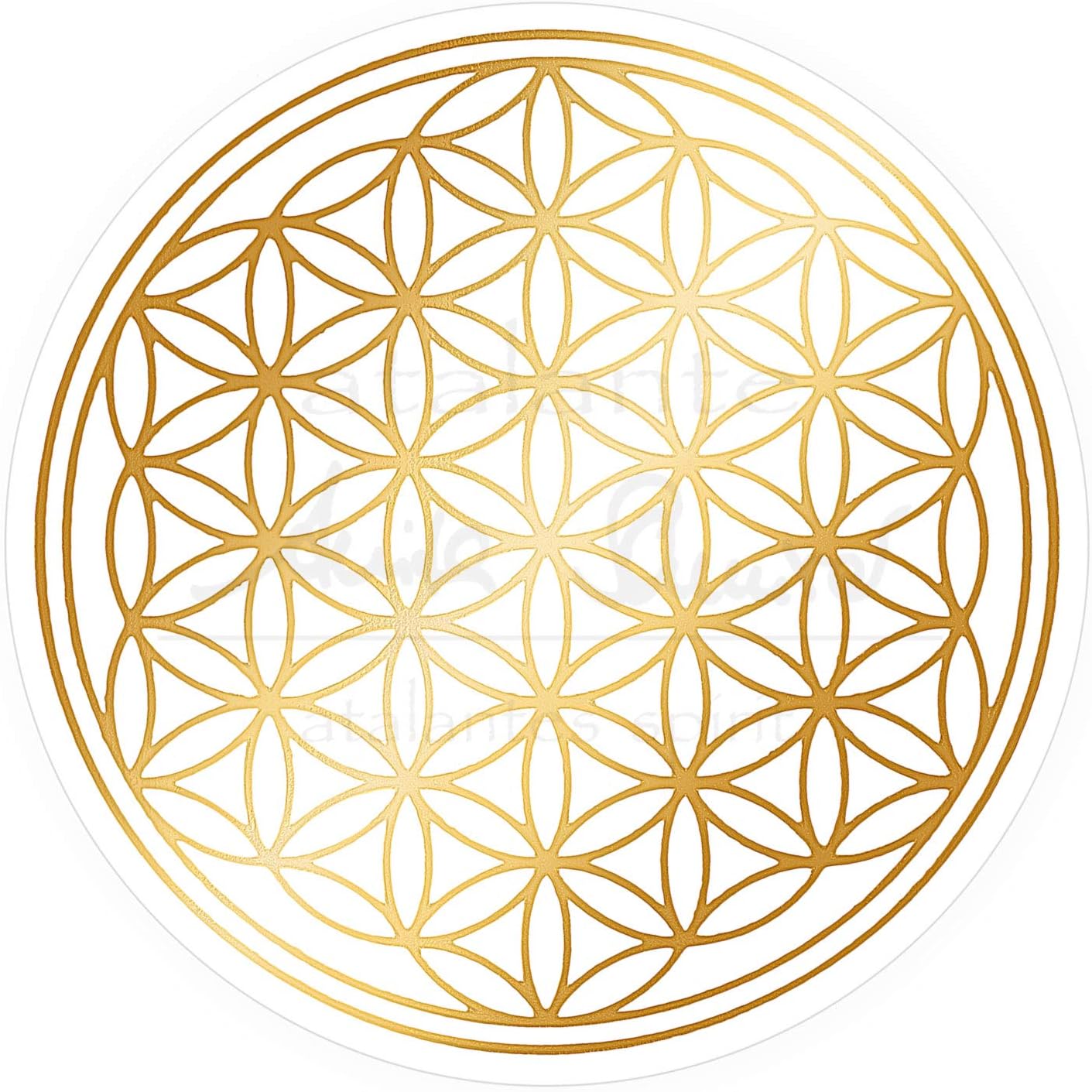 atalantes spirit Flower of Life Sticker Set Mix 5 cm Pack of 10 – 4 x Gold + 3 x Silver + 3 x Hologram, Abrasion Resistant – Transparent