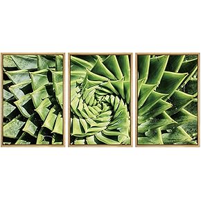 SIGNWIN Framed Canvas Wall Art Green Spiral Aloe...