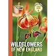 Wildflowers of New England (A Timber Press Field Guide)