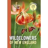 Wildflowers of New England (A Timber Press Field Guide)