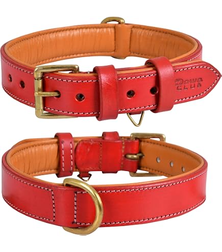 Amazon.com : Genuine Leather Dog Collar Red 7 Sizes (11.5
