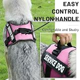 Belababy Soft No Pull Dog Harness X Small Adjustable Reflective Pink view 5