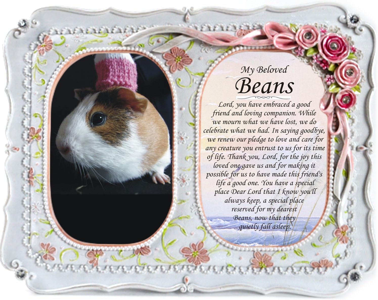 guinea pig remembrance