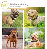 HEELE Reflective Dog Collar Adjustable Large 40-66cm Neoprene Padded view 5
