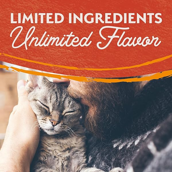 NATURAL BALANCE LIMITED INGREDIENT ADULT GRAIN-FREE WET CANNED CAT FOOD, DUCK & GREEN PEA RECIPE, 5.5 OUNCE (PACK OF 24)