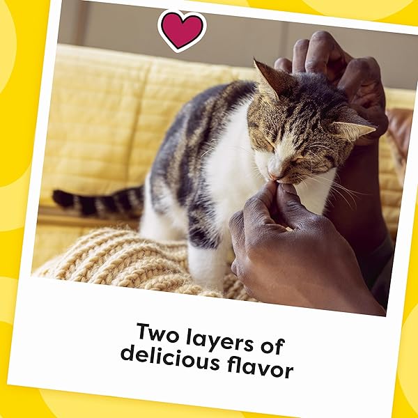 TEMPTATIONS MEATY MIXUPS CAT TREATS SALMON & TUNA FLAVOR, 4.12 OZ. POUCH