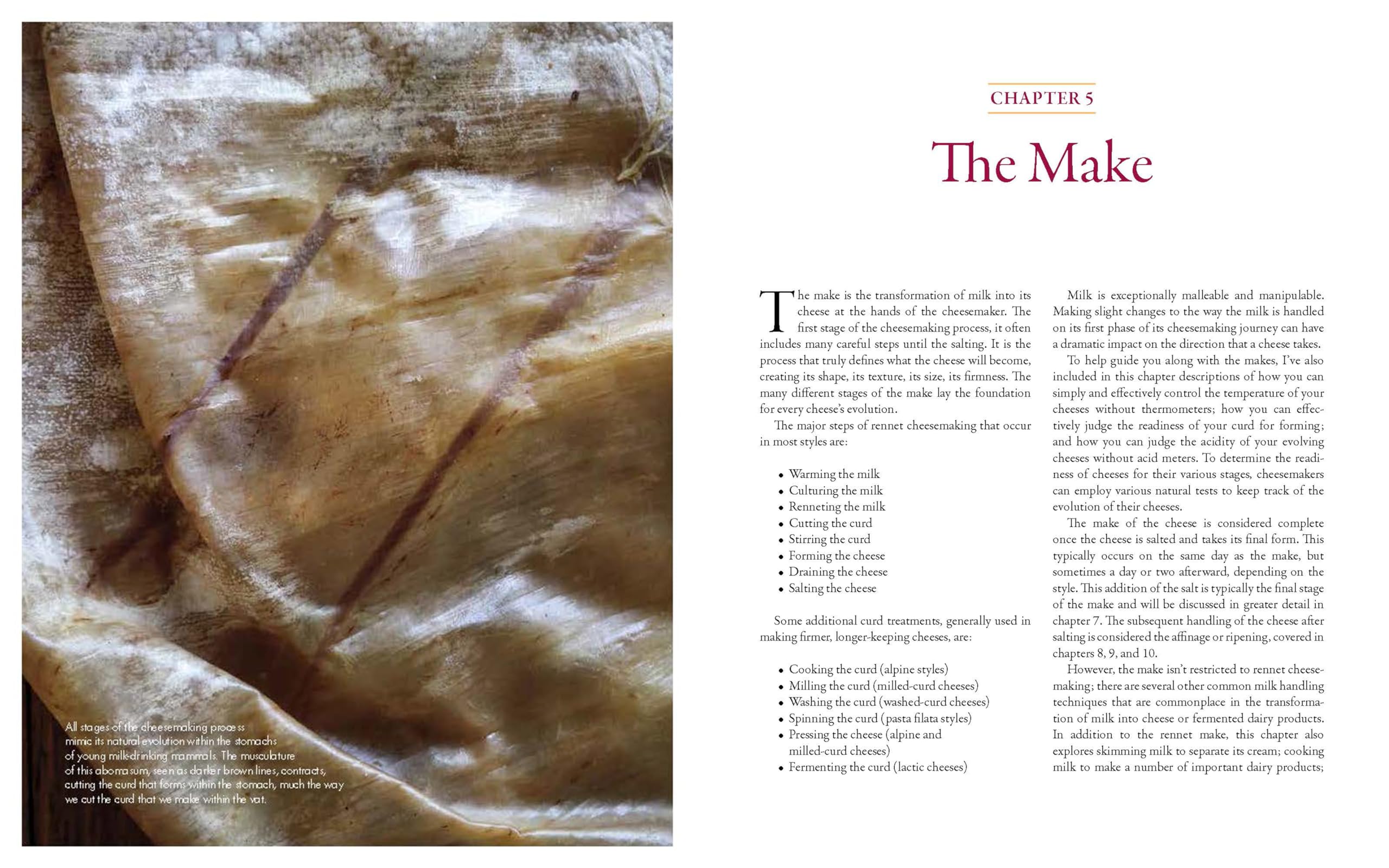 Milk Into Cheese: The Foundations of Natural Cheesemaking Using Traditional Concepts, Tools, and Techniques