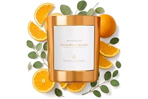 Benevolence LA Eucalyptus Orange Wood Wick Candles | Soy Christmas Scented Candles for Home | Holiday Candle Gifts for Women and Men | Home Fragrance | Aromatherapy | Shelf Decor | 8oz, 45 Hour Burn