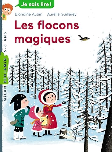 Download Les flocons magiques PDF