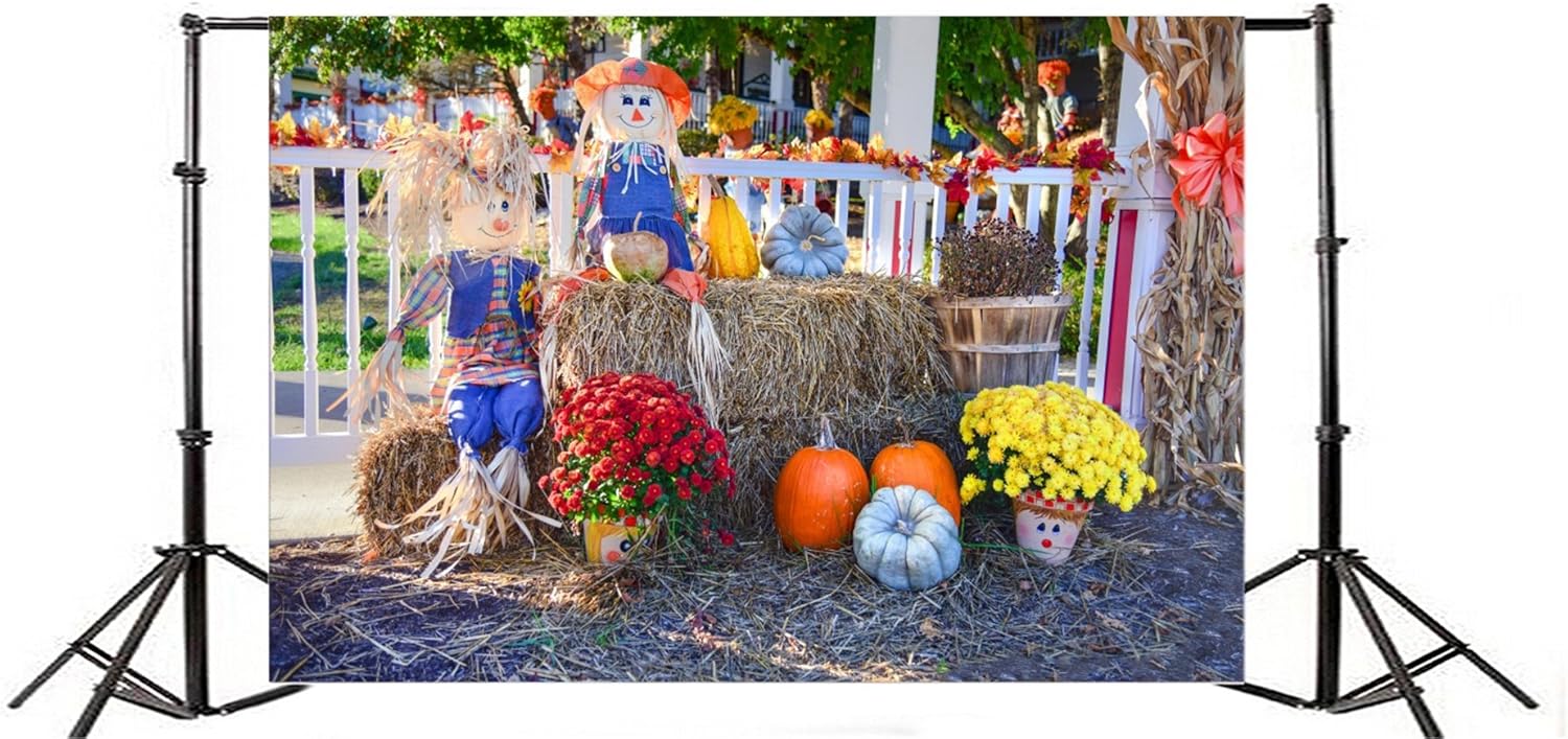 Amazon Com Aofoto 6x4ft Autumn Harvest Barn Background Pumpkins