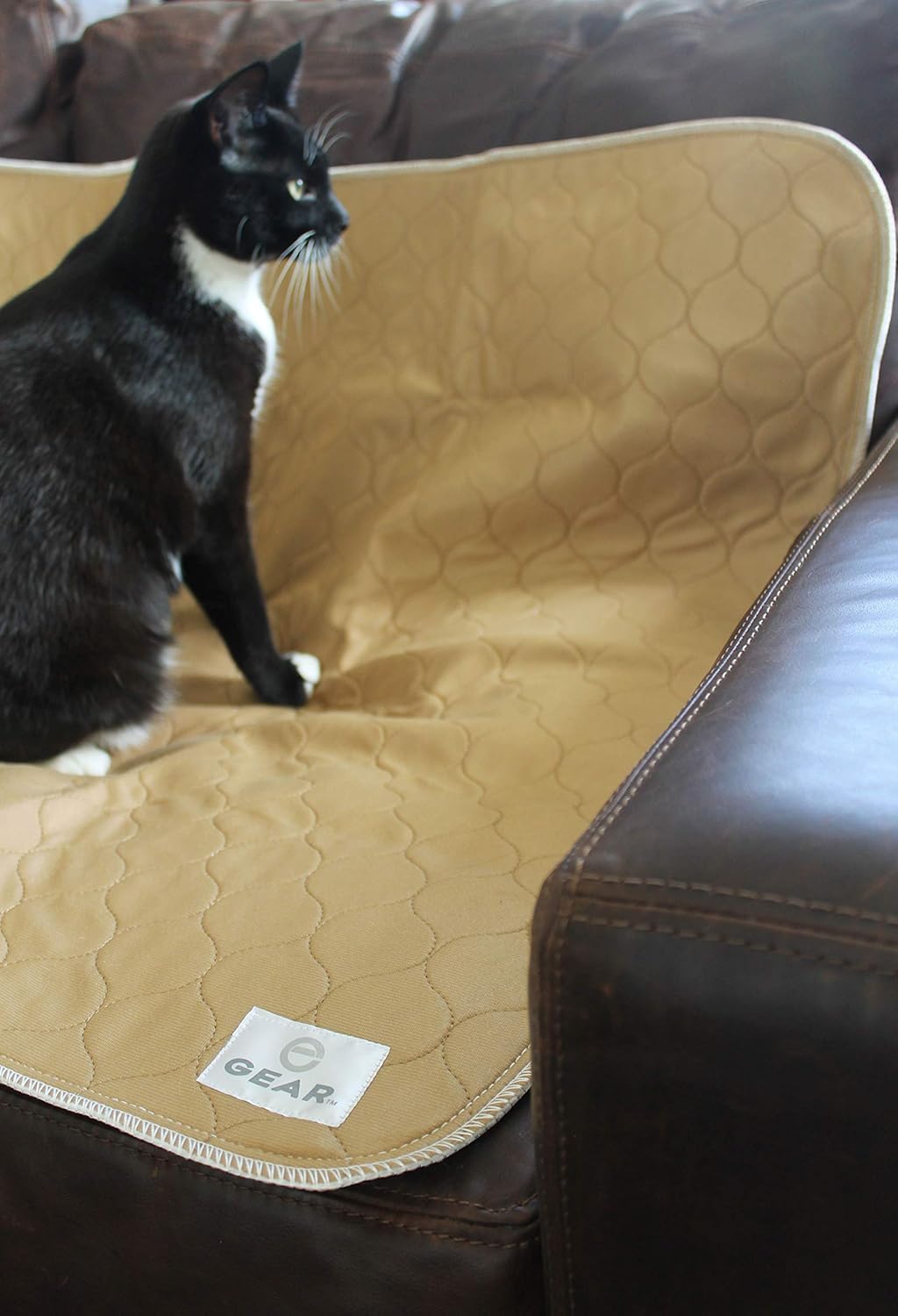washable pee pads for cats