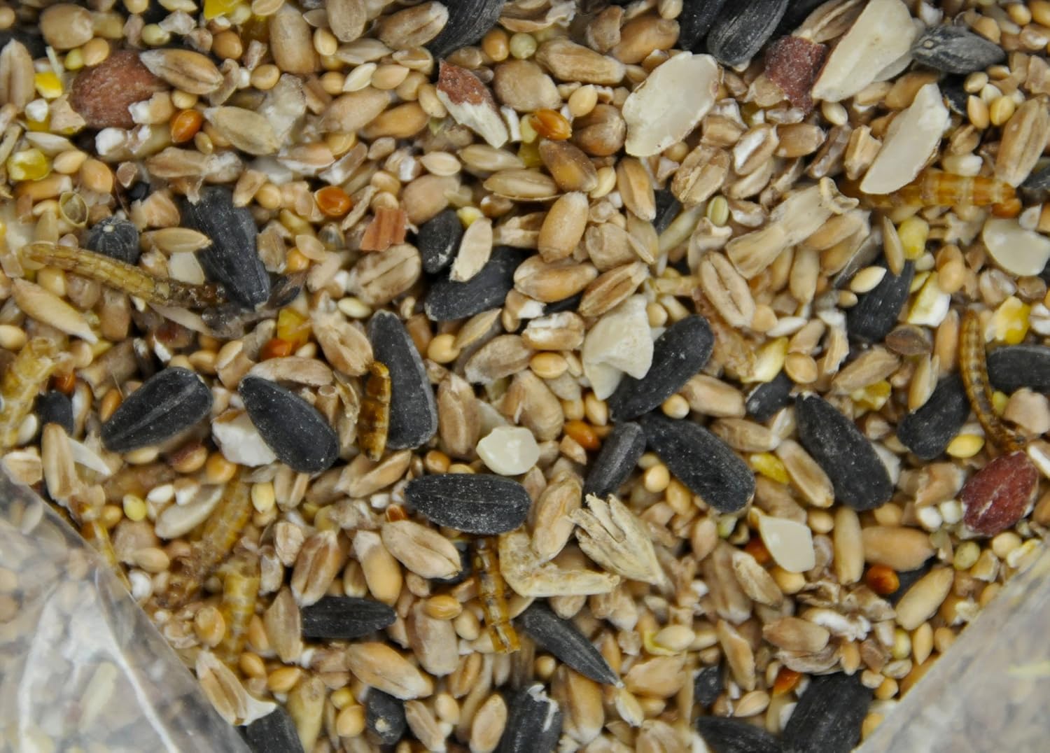 12.55 kg Dawn Chorus All Season Mealworm Feast Wild Bird Seed Mix