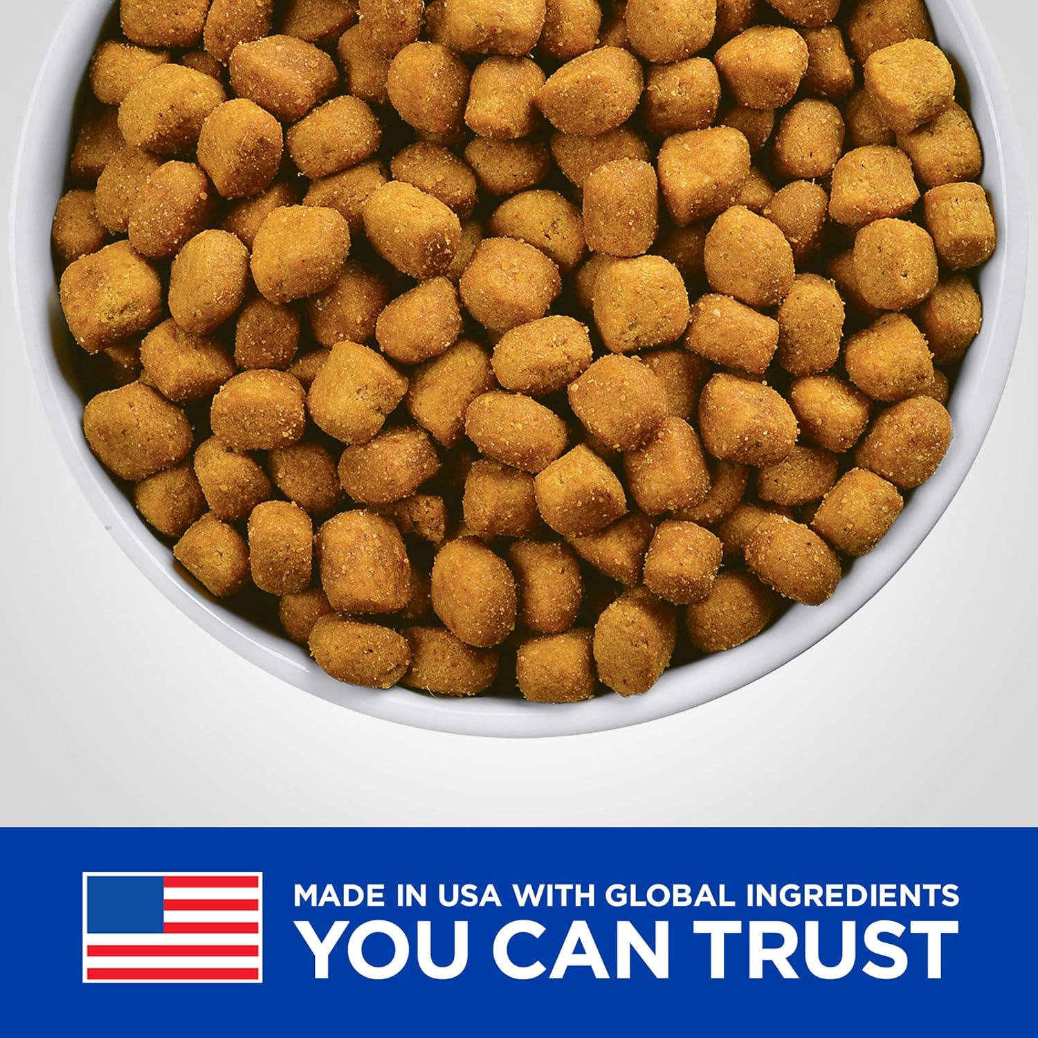 feline td dental care