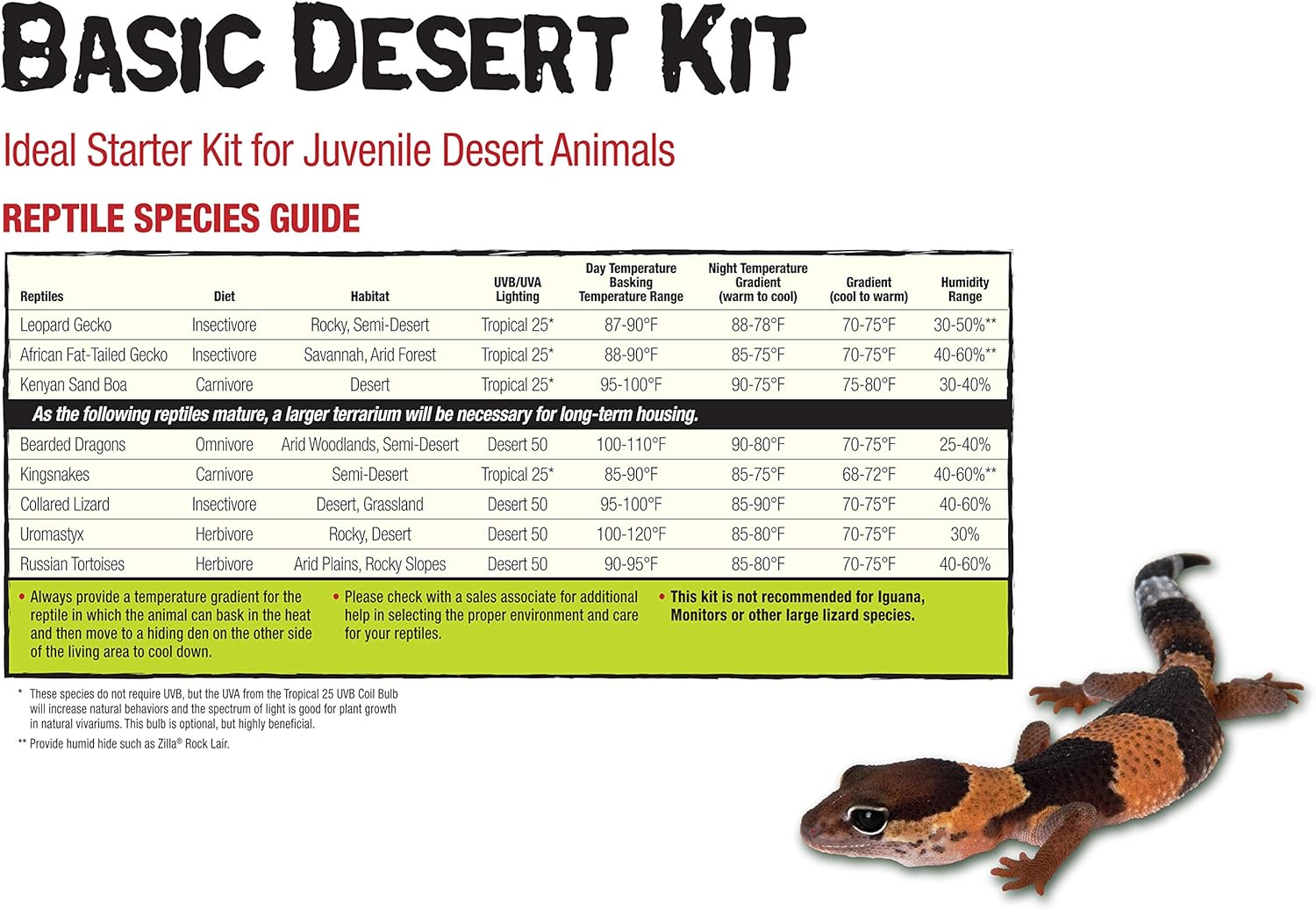 all living things 40 gallon desert reptile starter kit