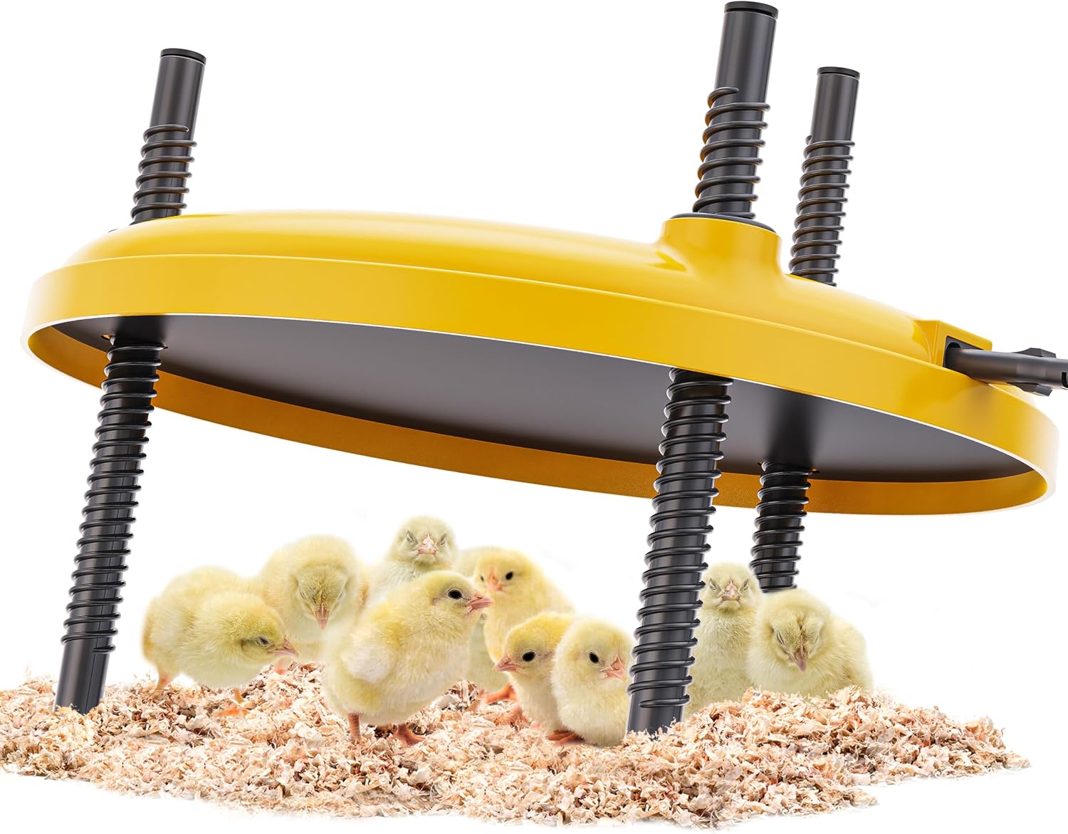 Brooder-Chick Brooder, Chicken Coop Heater 35W 12"x12" Adjustable Heating Plate for Baby Chicks, Safe and Energy-Efficient Brooder Heater for Poultry and Ducklings