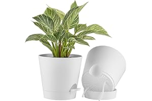 FaithLand 2-Pack 8 Inch Planter Pots for Indoor Outdoor Plants, Self Watering Flower Pots with Deep Reservoir, White …