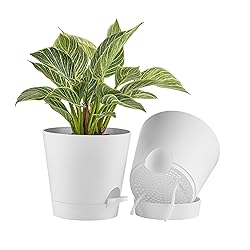 FaithLand 2-Pack 8 Inch Planter Pots for Indoor