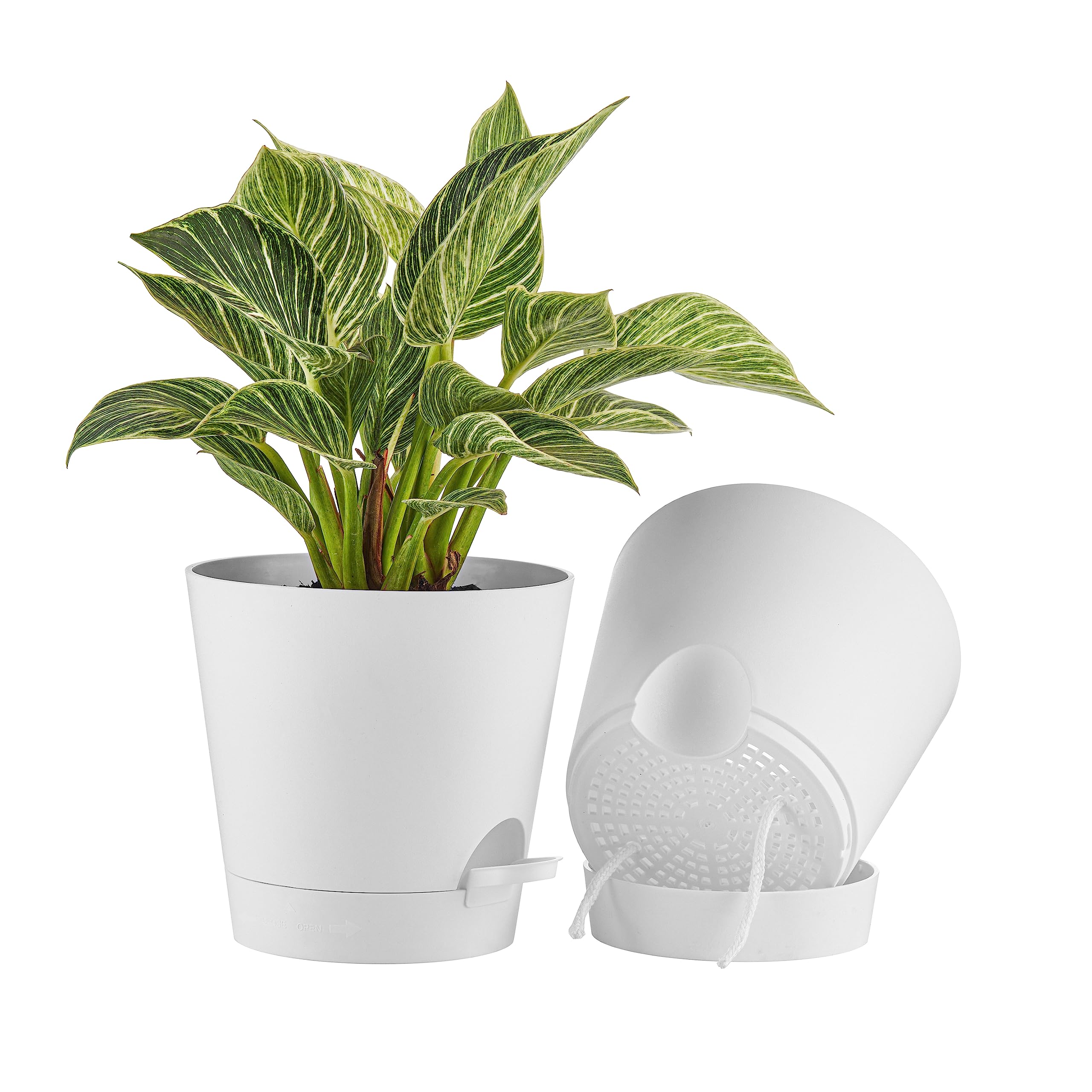 FaithLand 2-Pack 8 Inch Planter Pots for Indoor
