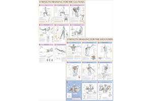 Strength Training Anatomy Poster Series