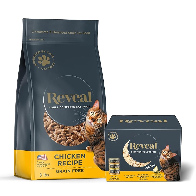 Top 5 Worst Dry Cat Food Companies Cat Nutrition 101 iHomePet