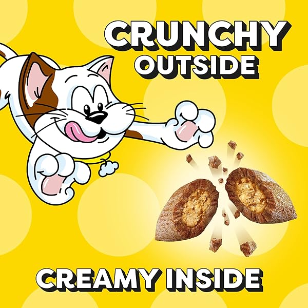 TEMPTATIONS CLASSIC CRUNCHY AND SOFT CAT TREATS SAVORY SALMON FLAVOR, 3 OZ. POUCH